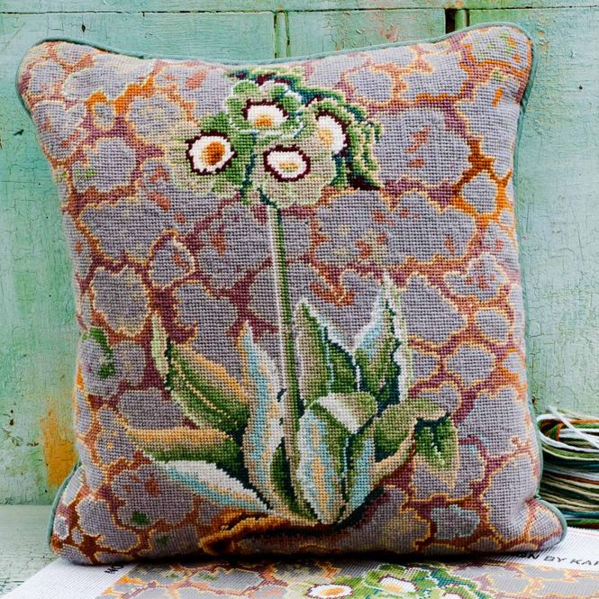 Hovedbilde Lichen Auriculas