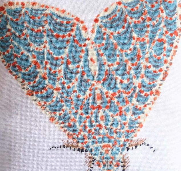 Bracca Moth